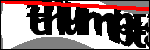 Testo da Identificare